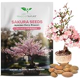 Magic of Nature: Japanese Cherry Seeds (10 Pcs) Bonsai - Pink Sakura | Dream of flowers for the garden - Great for growing a
