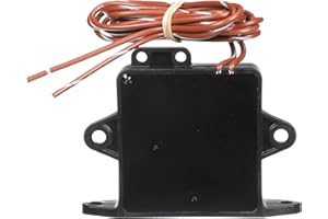 Whale Nuevo 2024 Field Switch Retail