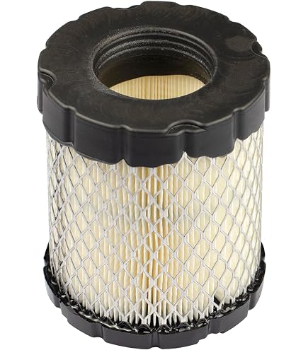 MAXPOWER Filtro Aria + Prefiltro Per Briggs & Stratton – Ricambio 4232 E 692519, Protezione Totale