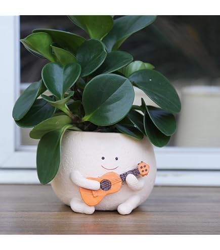 Vaso Per Fioriera Con Simpatico Da Fiori A Forma Di Tartaruga Vasi Piante Grasse Interni Ed Esterni Scrivania In Resina 88060782