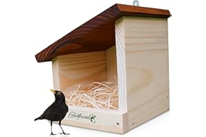 ERDENFREUND® Mysel - Caja de nido semiabierta, extra para hernidores de semicuevas, mirlo semicueva duradera, de 2 cm de madera maciza FSC (casa moderna adaptada a las artes)