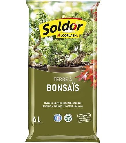 Terreau pour bonsa : Amazon.fr: Jardin