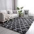 Calore Area Rugs Soft Fluffy Shaggy Rugs Living Room Modern Plush Rug High Pile Non-Slip Bedroom Carpet Floor Mat (black, 120 x 160 cm)