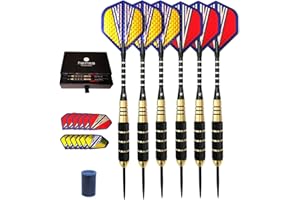 ‎HEINSA heinsa Dartpfeile mit Metallspitze, 6 Stück, 20g Steeldarts mit Aluminium Schäften, 3D Flights, O-Ringe und Dart Sharpener