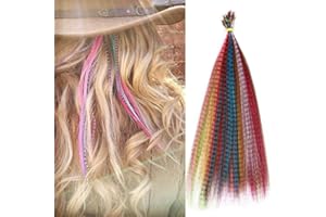 OTO BELLA Hair Feathers Hair Extensions Kit Synthetic Hair Colored Hairpieces 10 Multi Color 17 Inch Mixed Colors Hair Feathers+ 100 Micro-link Beads in a Round Box+ Hair Needle Hook+ Hair Extension Pliers