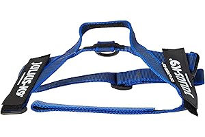 JULIUS K-9 Julius-K9, Harnais à sangles IDC Color & Gray, Taille: Mini, Bleu-Gris