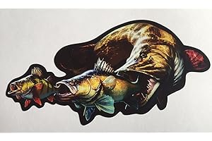 Schönheits Shop XL Aufkleber 29x14,5cm Hecht Barsch Zander Fishing Auto Köderbox Angelkoffer