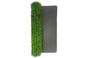 ARELUX Césped artificial 2X3 25mm | Rollo césped artificial 6 metros cuadrados | Terrazas, patios, balcón, habitacion | Mejor Calidad/Precio