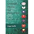 Chakras, Drugs and Evolution: A Map of Transformative States