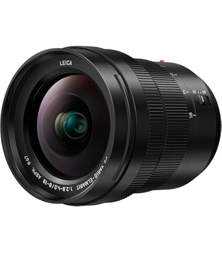 PANASONIC LUMIX G Leica DG Vario-ELMARIT Professional Lens, 12