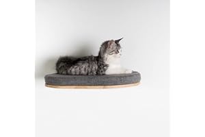 RHRQUALITY Katzenregal katzenliege wandmöbel Katze Katzenbett de Luxe XXL wandmontage wandbrett (Bis 20KG) 53cm für große Katzen (Grau)