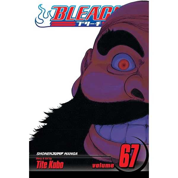 Bleach 66 : Tite Kubo: Amazon.in: Books