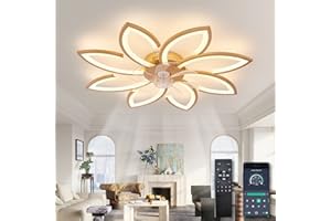 ycwdcz Ceiling Fans with Lights and Remote App, Low Profile Ceiling Fan Silent, Ceiling Fans with Lamps Modern Design, Dimmable, Memory Function, 6 Speeds, DC Motor, Summer/Winter Reversible, Gold