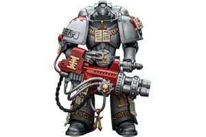 HiPlay JoyToy Warhammer 40K Collectible Figure: Grey Knights Strike Squad Grey Knight with Psilencer 1:18 Scale Action Figures JT9008