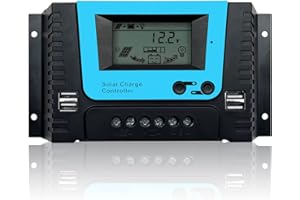 RHEIN BELEUCHTUNG 10A PWM Solarladeregler, Solarpanel-Batterieregler, Intelligenter Regler, 12V/24V/36V/48V PWM, geeignet für 100W-500W Leistung mit einstellbarem LCD-Display, Zwei USB Anschlüssen