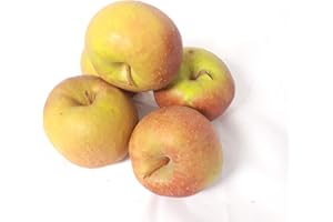 ‎LAMERA Äpfel Boskoop Boskop vom Bodensee säuerlicher Apfel 1-10 KG (10)