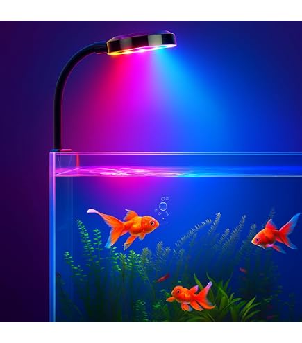ADA AQUASKY G 601-60 cm LED aquarium light (C Plug): Buy Online at