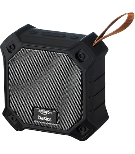 SpeakerCraft OE5 One Outdoor Speaker - Each (Black) : Amazon.in