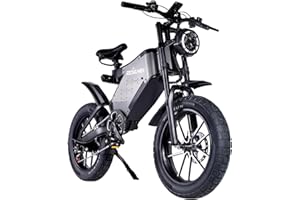 RZOGUWEX Bicicletta elettrica, EBIKE fuoristrada da 20 pollici per adulti con batteria rimovibile agli ioni di litio 48V 25AH, ruota magnetica forgiata con doppio freno a disco idraulico