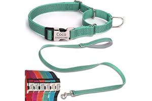 SEOUGEE Martingale - Collar de perro personalizado y juego de correa, collares y correa reflectantes de nailon antiestrangulamiento con hebilla grabada personalizada, entrenamiento para caminar para
