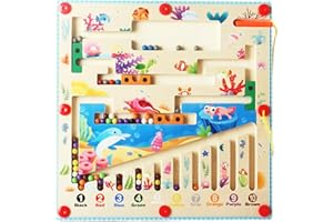 JRD&BS WINL Magnetic colore e numero labirinto giocattolo per bambini di età compresa tra 3 e superiori, giocattolo magnetico per ragazzi e ragazze di età compresa tra 4 e 8, regali di compleanno,