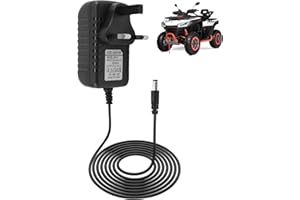 ENJIROR 6V Battery Charger for Child Electric Car 6 Volt 1A Universal Battery Charger for Kids Ride on Toy Car Motorcycle Quad Bike Sports Car Supply Power Adapter for Audio Video Router (2M)