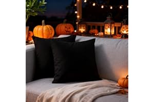 Encasa XO Conjuntos de Almohadas de algodón de algodón de 2 I 24x24 in (60 x 60 cm) - Negro Azabache I No Insertar I Plain Square Cubas de Almohadas I Lavable | para Uso en Interiores