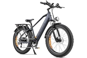ENGWE Electric Bikes for Adults E26 Electric Bicycle 26 "x4 Fat Wheels, 48V 16AH Battery, Urban Commuter Ebike, 7-Speed Hydraulic Disc Brake