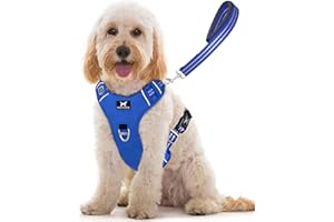 TUFFDOG Easy-Fit Dog Harness Medium Dog - Fast Release Neck Clip, Premium Padded Reflective No Pull Harness with Control Handle, Adjustable Step-in Dog Vest Plus Free Matching Lead (M, Royal Blue)
