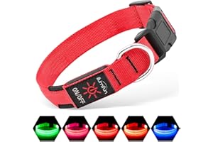 Illumifun LED Dog Collar, USB Rechargeable Light Up Dog Collar Glow in the Dark, Pet Safety Collar Lights for Night Walking Camping (Red, Medium)
