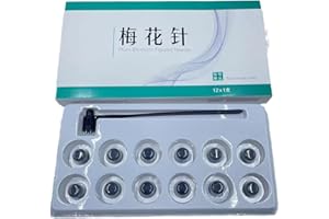 DIOCHE Plum Blossom Dermal Hammer with 12 Replace Heads, Stainless Steel Plum Blossom Dermal Hammer & Seven Star Needle Set, Skincare Tool for Women and Men Body Massage