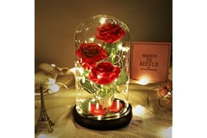 DREAM OF FLOWERS Rose éternelle, cadeau de Saint-Valentin, rose de la Belle et de la Bête, rose lumineuse en verre - Souhaits de Saint-Valentin, de fête des mères et d'anniversaire pour maman, femme, petite amie.