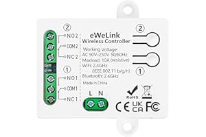 DieseRC Interruttore Intelligente Wi-Fi 2 canali Modulo Relè di Uscita Passivo AC 90V-250V 220V Controllo WIFI APP Ewelink compatibile con Alexa/Google Home, interruttore a impulsi/autobloccante