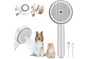 CORPOWER Spazzola a Vapore Per Gatti, 4 in 1 Ricaricabile, Spazzola Gatto con Vapore per Gatti Capelli Lunghi Corti, Cani Capelli per Massaggio, Cura e Depilazione Steamy