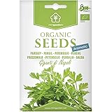 Italienische Petersilie, zertifizierte biologische Samen von Minigarden, enthält zwischen 3000 und 3600 Samen