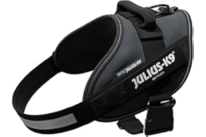 JULIUS K-9 Harnais IDC Power, Taille: 0, Anthracite