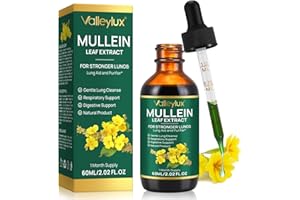 BIBONSE Mullein Tropfen Königskerze Extrakt, 60ml Mullein Leaf Extract Drops, Natürliche Königskerzenblatt Tropfen, Königskerzen Tropfen mit Chlorophyll zur Lungenreinigung, Schnelle Absorption, Vegetarisch