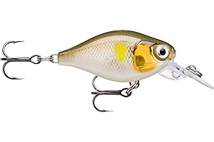 Rapala - Leurre de Pêche X-Light Crank Mid Runner Construction Plastique - Leurre Eau Douce Flottant