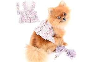 PAIDEFUL Pettorina Vestito per Cani di Piccola Taglia Gatti Ragazze Floreale Gonna Tutu Traspirante Vestiti per Animali con Guinzaglio 1,6 m Cucciolo Chihuahua Yorkie Abbigliamento Primavera Estate