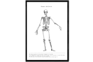 Nacnic Poster di anatomia in Bianco e Nero con immagini del Corpo umano. Piastra su biologia e Medicina con dettaglio scheletro. Dimensione A4. con Marco.