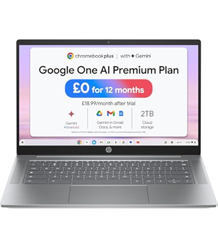 ASUS Chromebook CZ1000DVA-L30031 notebook 25.6 cm (10.1