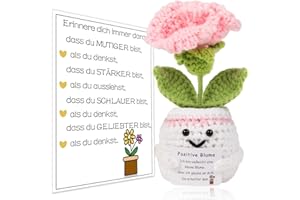 BOAITE Pocket Hug Positive Flower, Creative Knitting Wool Sunflower Doll and Lucky Charm Feeling Cards, Courage Gift, Get Well Soon Gift, First Day of School Gift