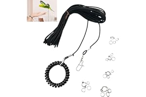 HAYAWW Harnais et Laisse Corde Volante d’Entraînement pour Perroquet et Petits Oiseaux 6 m