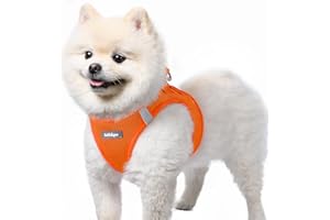 rabbitgoo Harnais Chien Petite Taille Orange S, Harnais Chiot Respirante en Maille Souple, Arnet pour Chien Réfléchissant Facile à Mettre, Gilet Réglable pour Petits et Moyens Chiens pour Marche