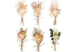 LAUMOE 6 Pcs Fleurs Séchées, Fleur Séchée Bouquet de Fleurs Séchées Fleurs Sechees Vrac Fleur Sechees Decoration pour Scrapbooking Bougie Bricolage Résine Époxy Floral Fabrication (Style 2)