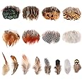 MWOOT 8 Styles Assorted Craft Feathers (160Pcs), Natural Chicken Feathers for DIY Earring Wings Dream Catcher Crafts Activities Project Wedding Party Home Decoration