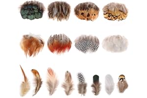 MWOOT 8 Styles Assortis Artisanat Plumes (160 Pièces), Naturel Poulet Plumes pour DIY Boucle d'oreille Ailes Attrapeur de Rêves Projet Activités Artisanales Mariage Accueil Décoration