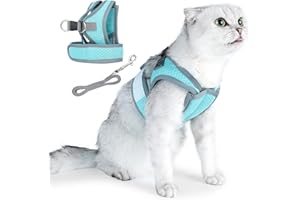 HEYWEAN Uprząż dla kota ze smyczą, odporna na pękanie, uprząż dla małych kotów, zestaw naczyń z smyczą dla kotów, uprząż dla kota z uprzężą, dla małych psów, regulowana, kamizelka dla kota