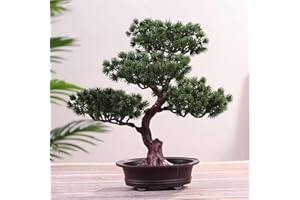 Verve Jelly Bonsai artificiali Piante artificiali decorative, Simulazione Pianta di pino in vaso, Piccola pianta in vaso Mini pianta verde artificiale per ufficio domestico interno/esterno