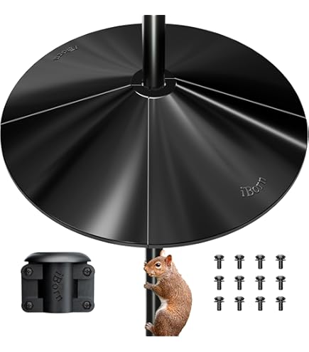 Lot De 2 épines D'escalade Pour Oiseaux - Déflecteur D'écureuil - Pour Mangeoires à Oiseaux - Répulsif Aux Pigeons - Répulsif Aux Pigeons - Repoussent Les écureuils - M : Longueur Des épines : 3 Cm